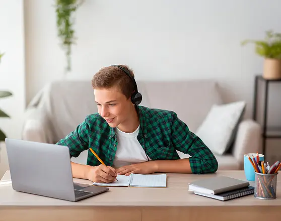 Boy studying