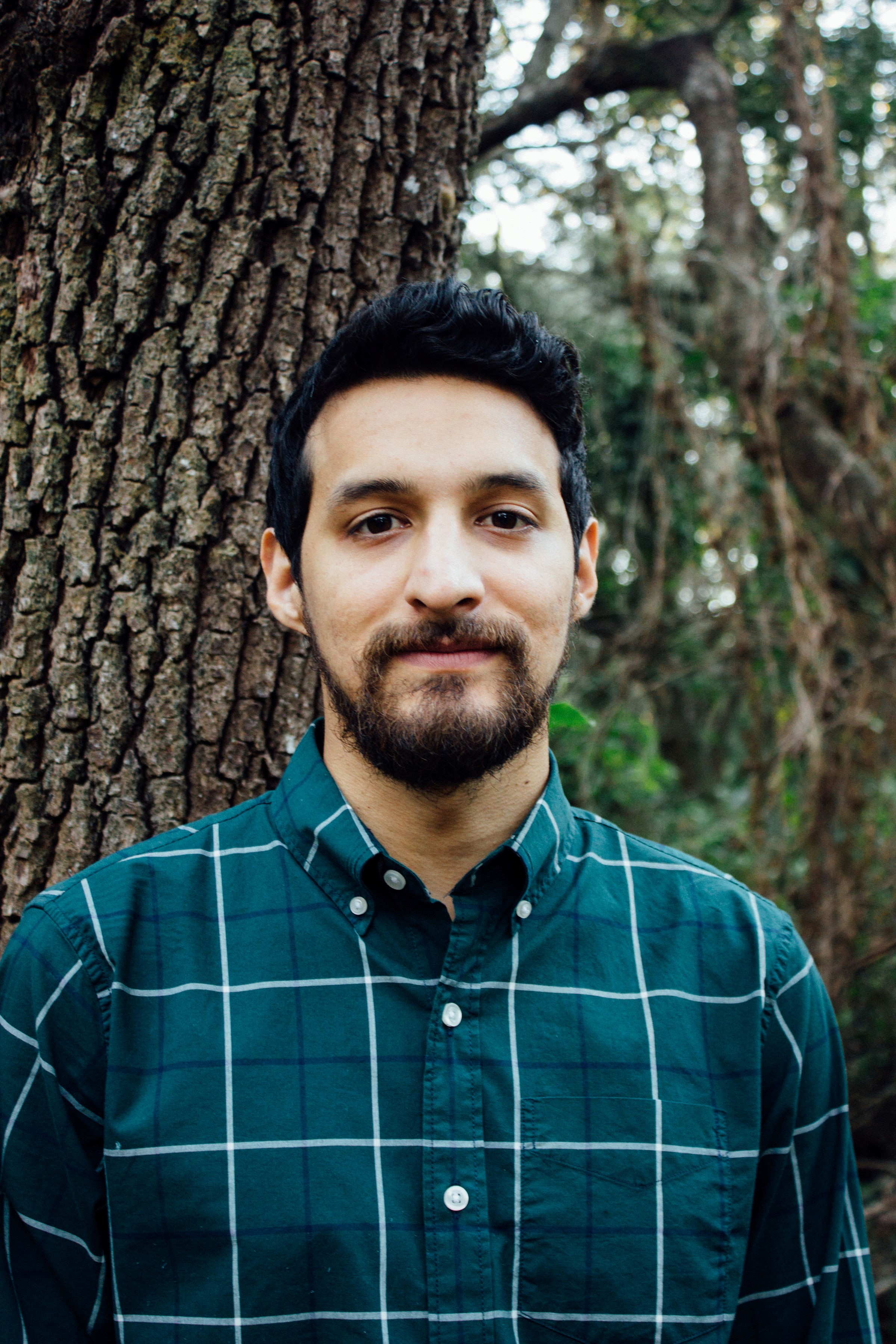 Nelson Guerra