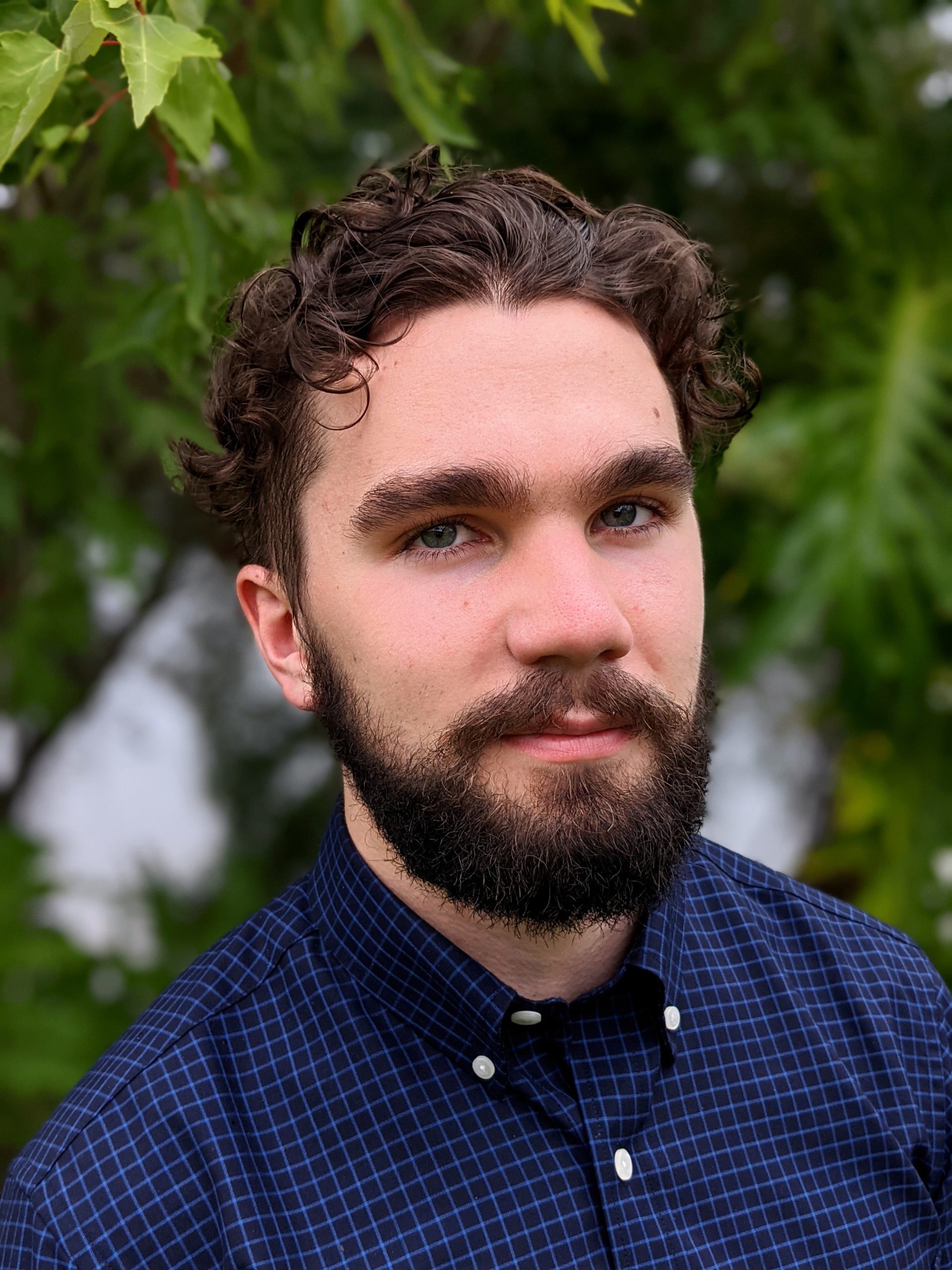 Noah Bisceglia